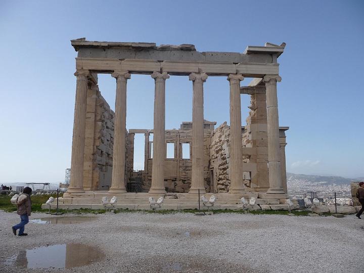 P1000466.jpg