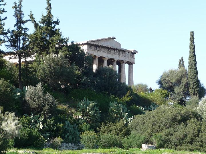 P1000553.jpg