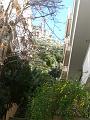 P1000332